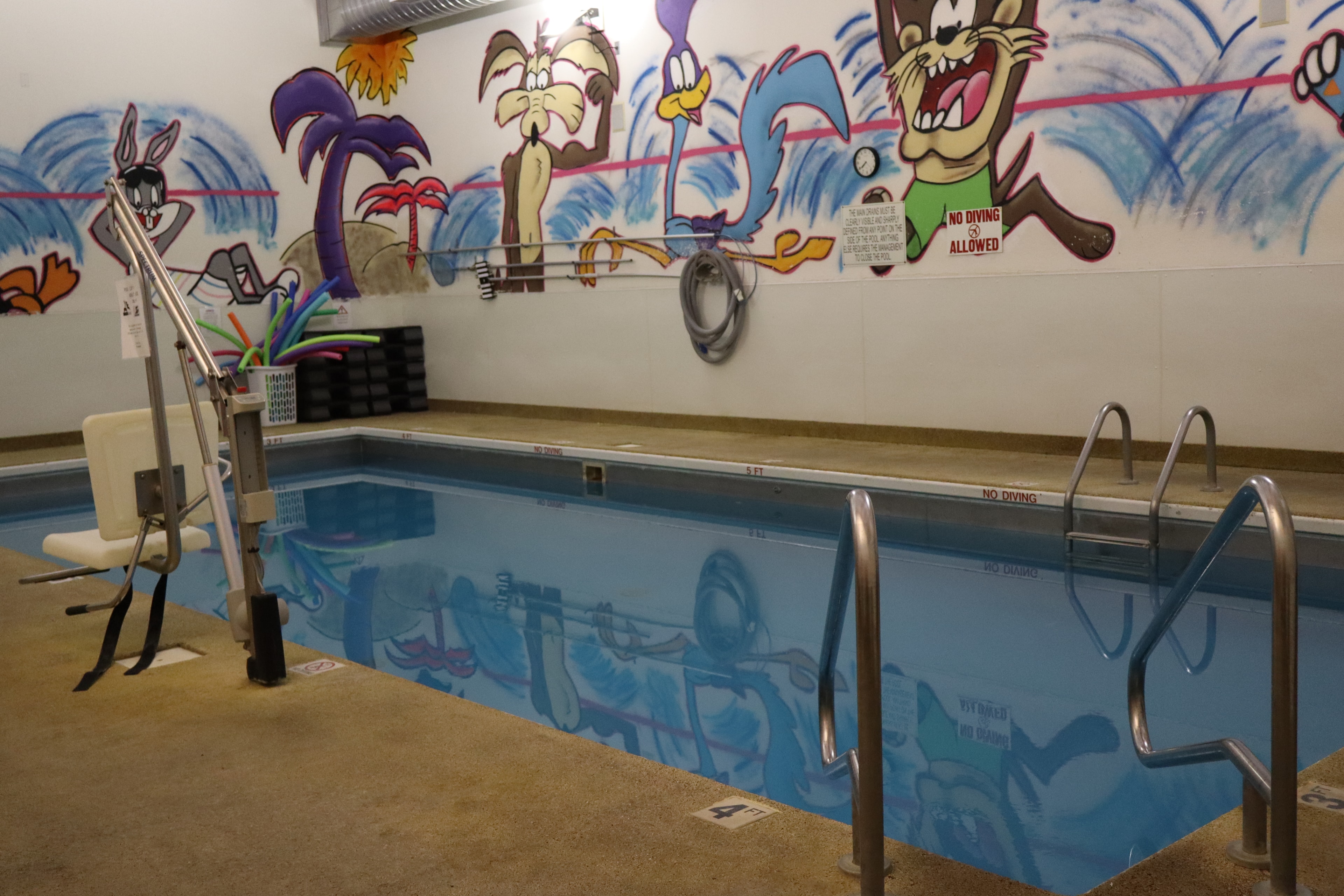 Indoor swimming pool with Looney Tunes mural at Locomotion Fitness Center
